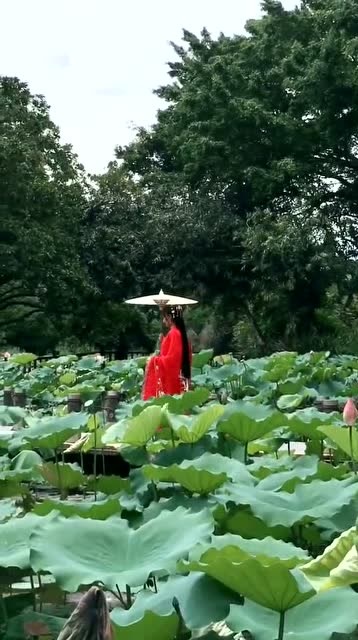 荷花服饰，传统美学与现代时尚的完美交融